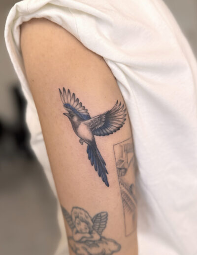Realistic bird tattoo in flight on upper arm, black and grey tattoo Porto